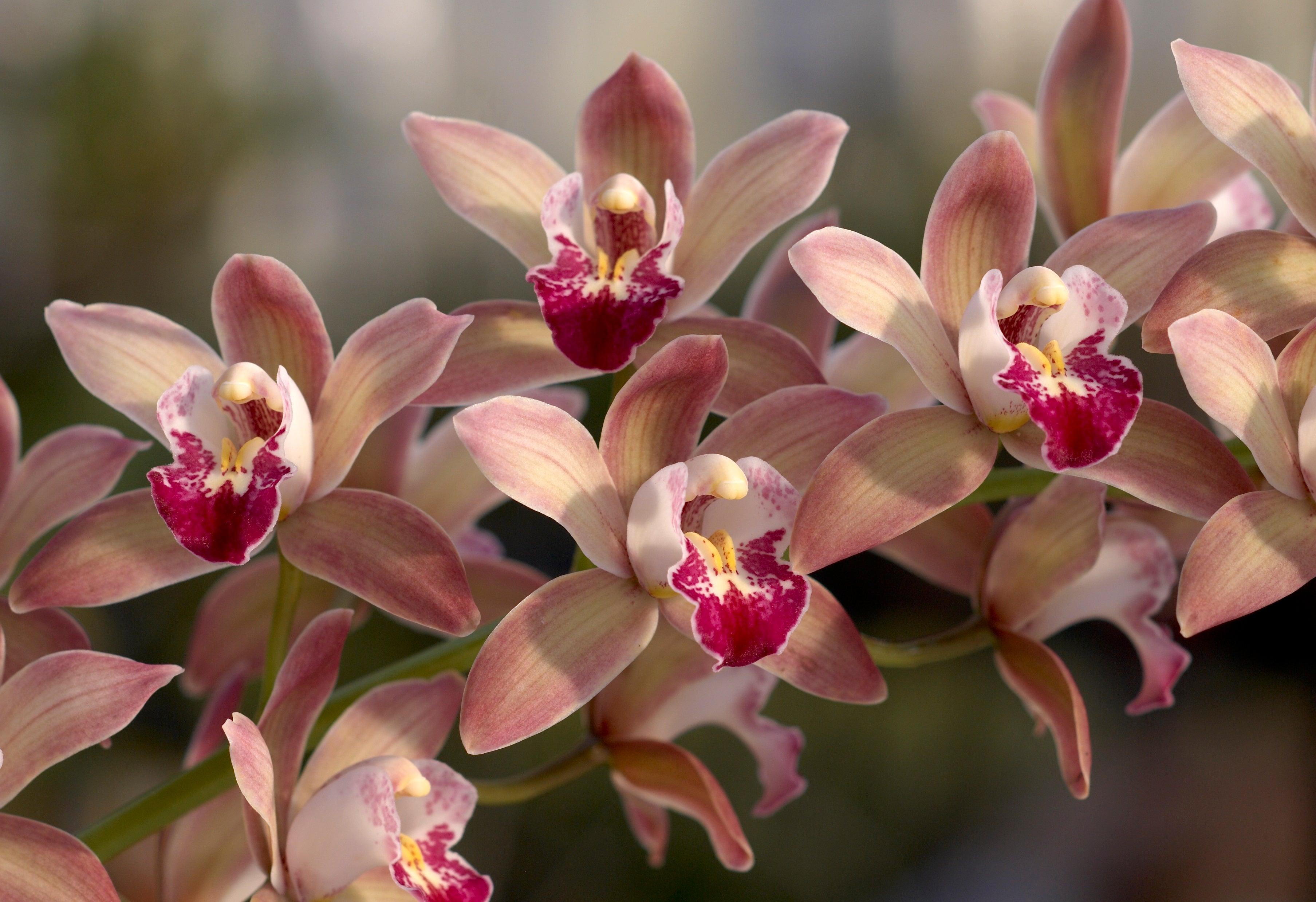 Contact – Flask & Flora